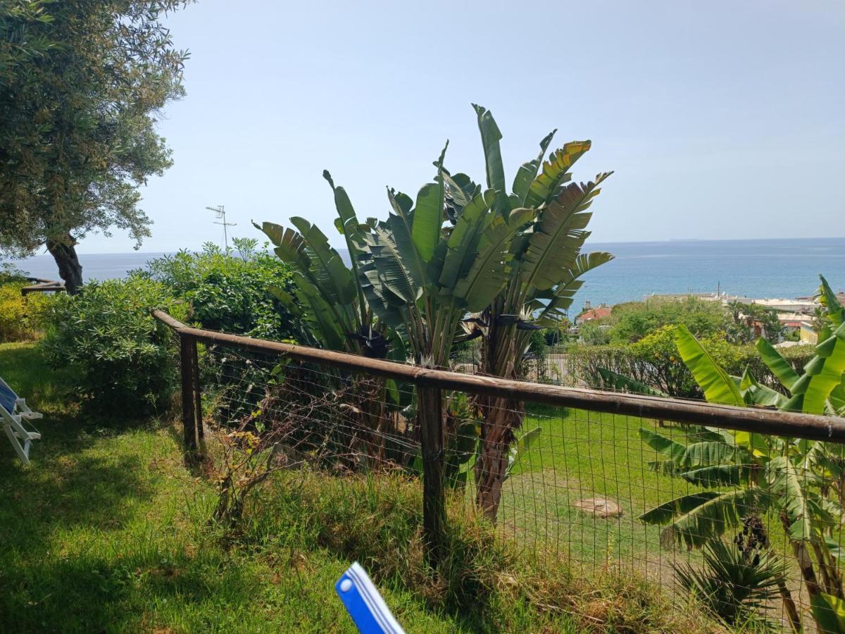 Ferienwohnung La Dea Del Mare Forio di Ischia Exterior foto