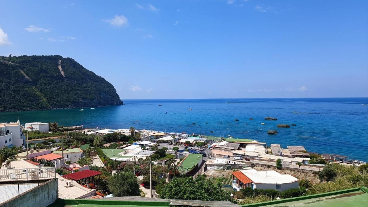 Ferienwohnung La Dea Del Mare Forio di Ischia Exterior foto